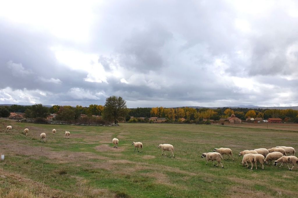 Sumando esfuerzos para un campo en&nbsp;positivo